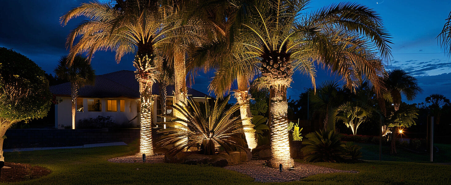 palm tree lights